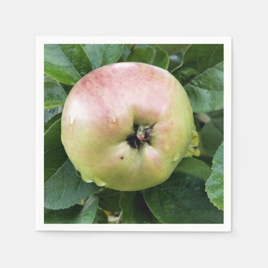 APPLE SERVIETTE (Vorderseite)