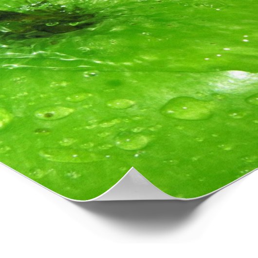 Apple Splash Poster (Ecke)