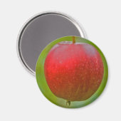 Apple Summer Red Magnet (Vorderseite/Rückseite)