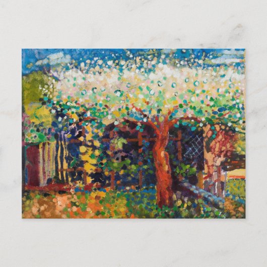 Apple Tree Blossom Postkarte (Vorderseite)