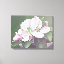 Apple Tree Blossom Spring Leinwand Mauer