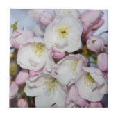 Apple Tree blüht auf einem blauen Himmel Fliese (Vorderseite)