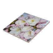 Apple Tree blüht auf einem blauen Himmel Fliese (Seite)