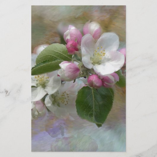 Apple Tree Blüten Briefpapier (Vorderseite)