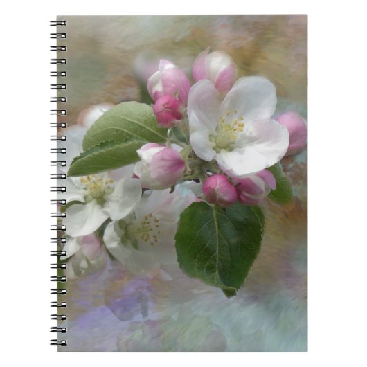 Apple Tree Blüten Notizblock (Vorderseite)