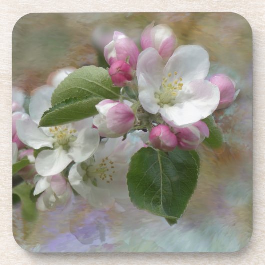 Apple Tree Blüten Untersetzer (Vorderseite)