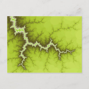 Apple Tree Roots Postcard Postkarte