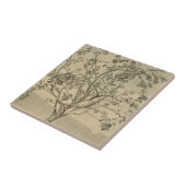 Apple Tree (Watercolor Art) (von Nicholas Roerich) Fliese (Seite)