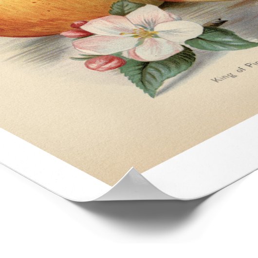 Apple - Vintages Fruchtplakat Poster (Ecke)