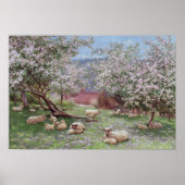 Appleblossom Poster (Vorne)