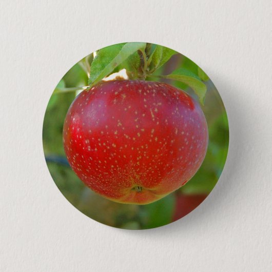 AppleLobo Button (Vorderseite)