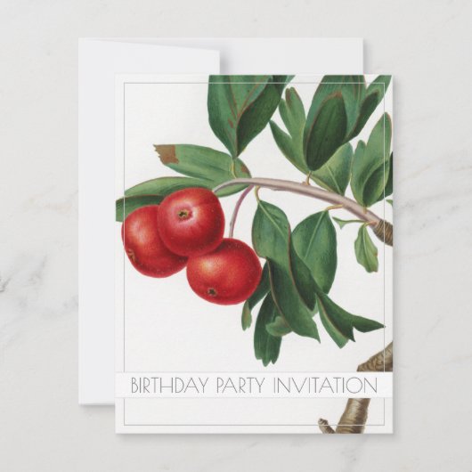 APPLES BIRTHDAY PARTY INVITATION FLAT CARD EINLADUNG (Vorderseite)