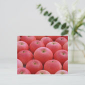 Apples entdecken postkarte (Stehend Vorderseite)