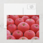 Apples entdecken postkarte (Vorne/Hinten)