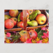 APPLES & PEARS  ~ Postcard Feiertagspostkarte (Vorderseite)