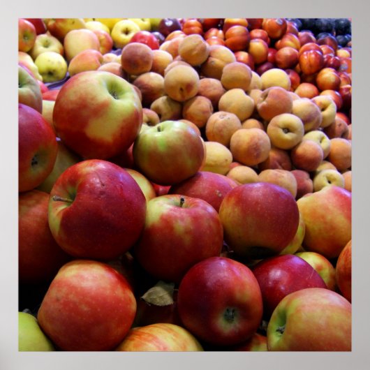 Apples Poster (Vorne)