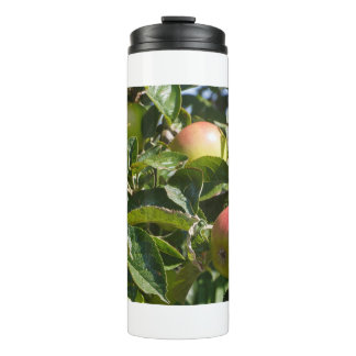 Apples ripening on an apple tree thermosbecher