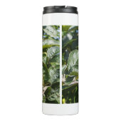 Apples ripening on an apple tree thermosbecher (Rückseite)