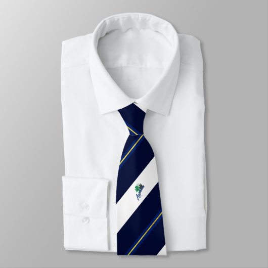 Appleton (Wisconsin) Stadtflagge Neck Tie Krawatte (Gebunden)