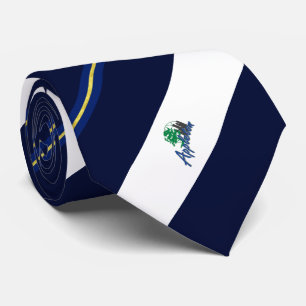 Appleton (Wisconsin) Stadtflagge Neck Tie Krawatte