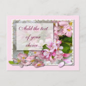 APPPELBLOSSOM ~ Postkarte (Vorderseite)