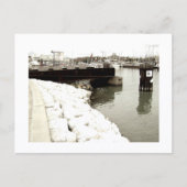 Approachable Wolf Post Card Print Postkarte (Vorderseite)