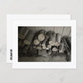 Approachable Wolf Post Card Print Postkarte (Vorne/Hinten)