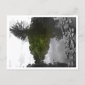 Approachable Wolf Post Card Print Postkarte (Vorderseite)