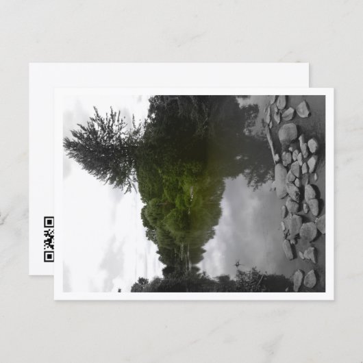 Approachable Wolf Post Card Print Postkarte (Vorne/Hinten)