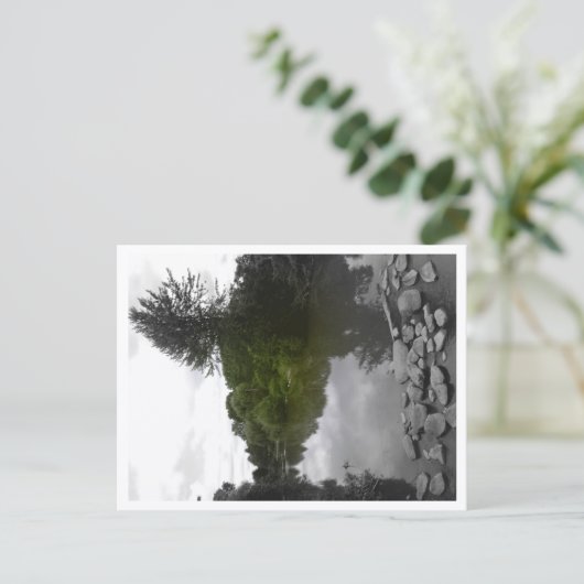 Approachable Wolf Post Card Print Postkarte (Stehend Vorderseite)