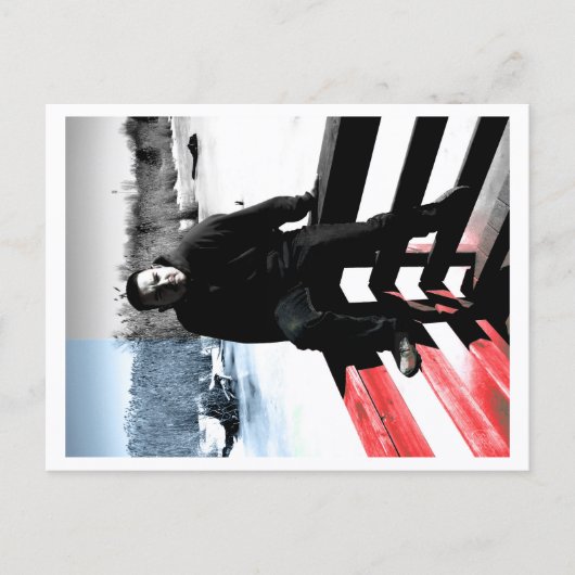 Approachable Wolf Post Card Print Postkarte (Vorderseite)