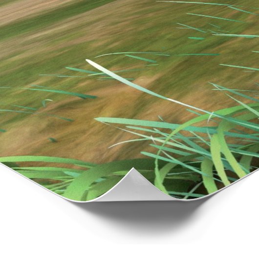 Appu 2 poster (Ecke)