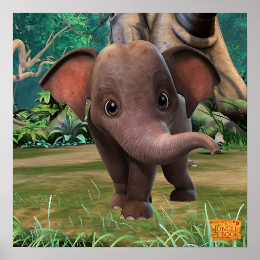 Appu 2 poster (Vorne)