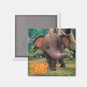 Appu Magnet (Vorderseite/Rückseite)