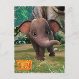 Appu Postkarte
