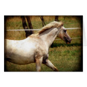 Appy (Vorderseite (Horizontal))