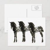 Appy Colts Postkarte (Vorne/Hinten)