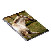 Appy Notizblock (Rechte Seite)