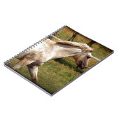 Appy Notizblock (Linke Seite)