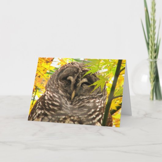 Appy Owlidays Feiertagskarte (Vorderseite)