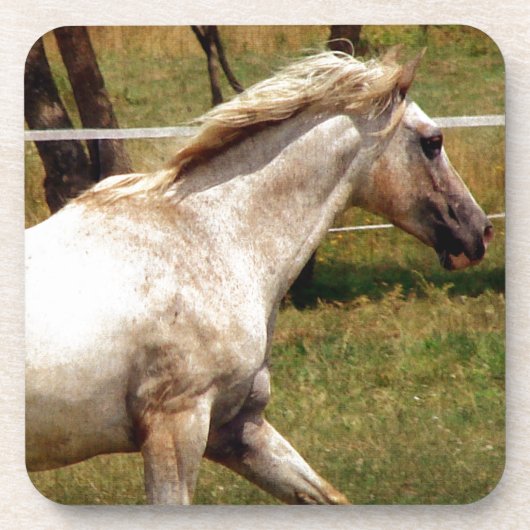 Appy Untersetzer (Vorderseite)