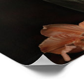 Apricot Amaryllis Blume Art Print Poster (Ecke)