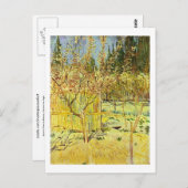 Apricot Bäume in Blossom, Van Gogh Fine Art Postkarte (Vorne/Hinten)