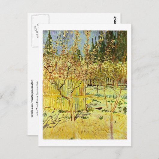 Apricot Bäume in Blossom, Van Gogh Fine Art Postkarte (Vorne/Hinten)