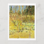 Apricot Bäume in Blossom, Van Gogh Fine Art Postkarte (Vorderseite)