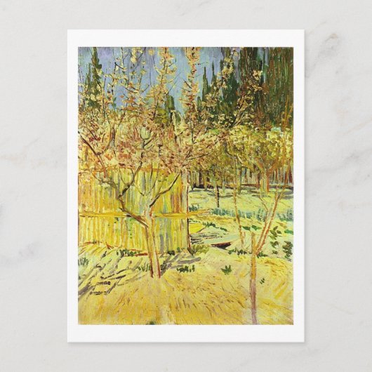 Apricot Bäume in Blossom, Van Gogh Fine Art Postkarte (Vorderseite)