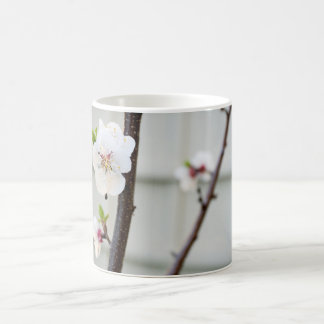 Apricot Blossom Kaffeetasse