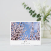Apricot Blossom Postkarte (Stehend Vorderseite)