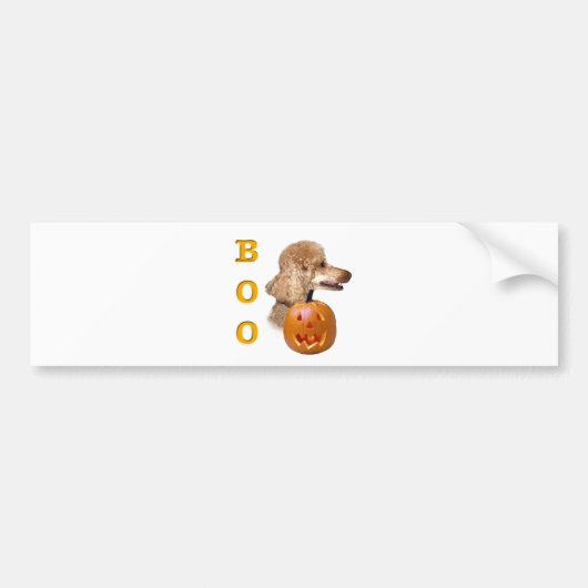 Apricot Coated Poodle Autoaufkleber (Vorne)