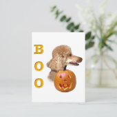 Apricot Coated Poodle Postkarte (Stehend Vorderseite)